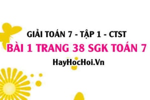 Giải bài 1 trang 38 Toán 7 Tập 1 SGK Chân trời sáng tạo